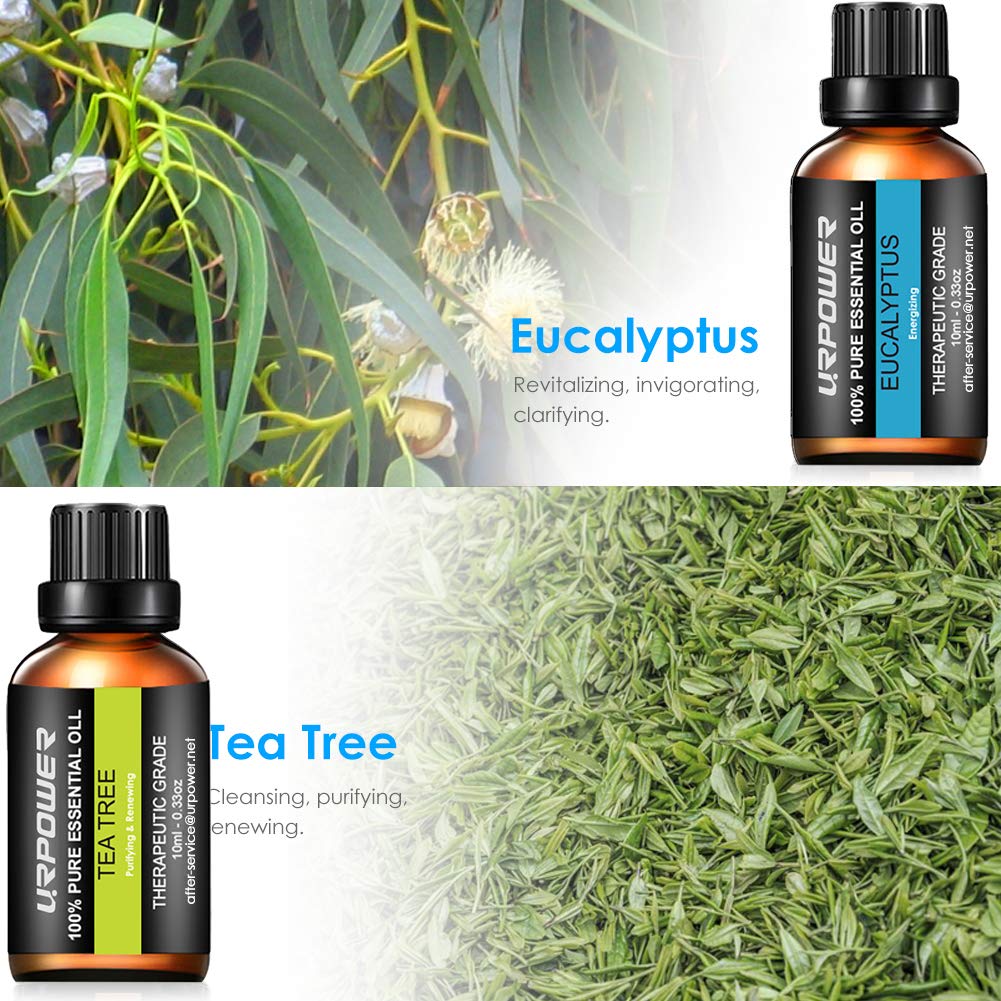URPOWER Essential Oils Top 8 Aromatherapy Essential Oils 100% Pure Therapeutic Grade Essential Oils Set Lavender/Peppermint/Tea Tree/Orange/Eucalyptus/Lemongrass/Frankincense/Rosemary
